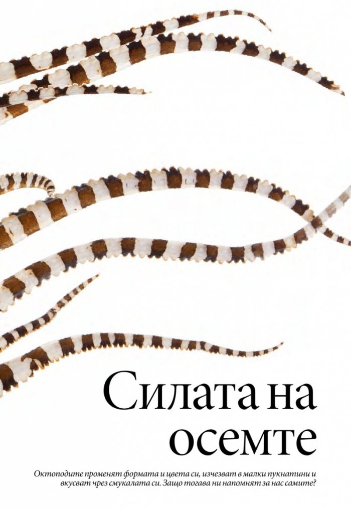National Geographic България 11/2016