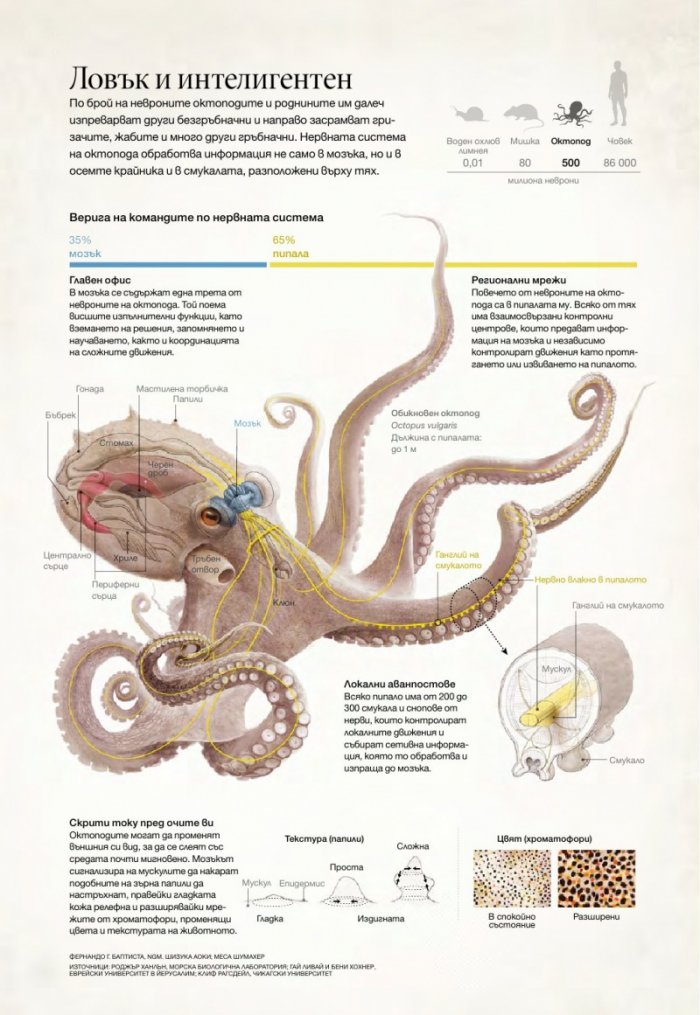 National Geographic България 11/2016