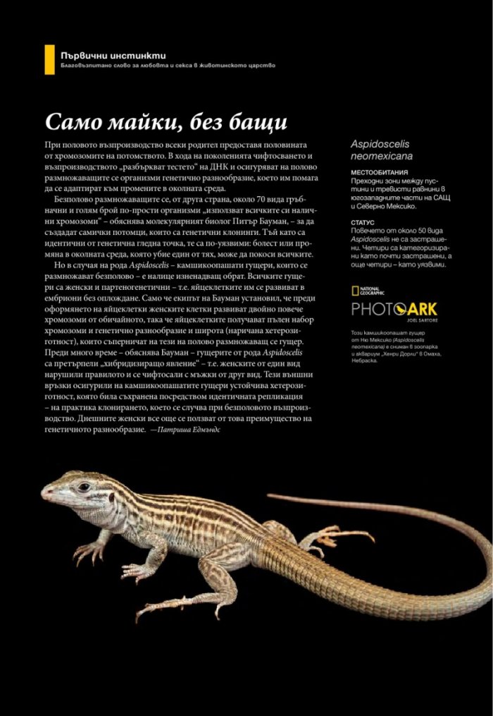 National Geographic България 11/2016