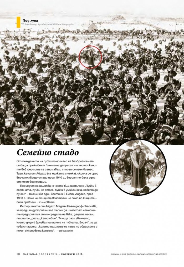 National Geographic България 11/2016