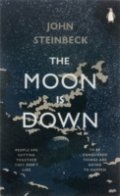 The Moon is SDown