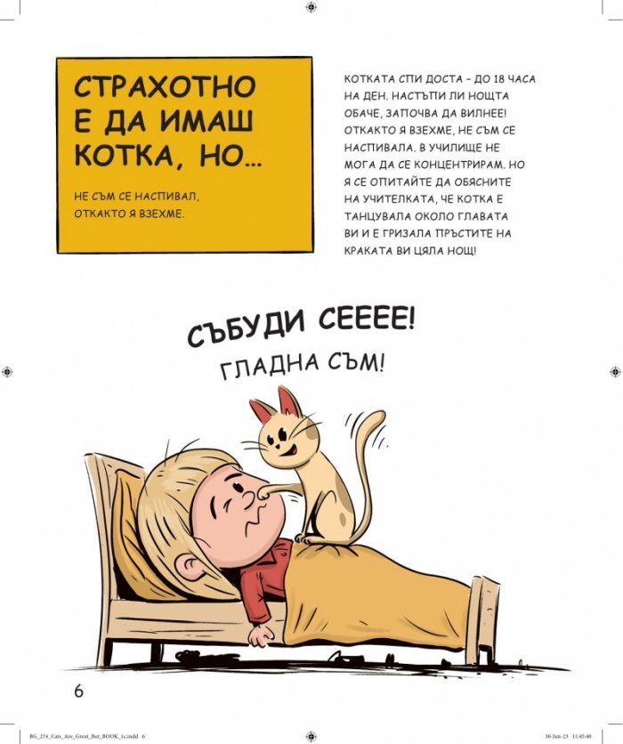 Котките са страхотни, но...