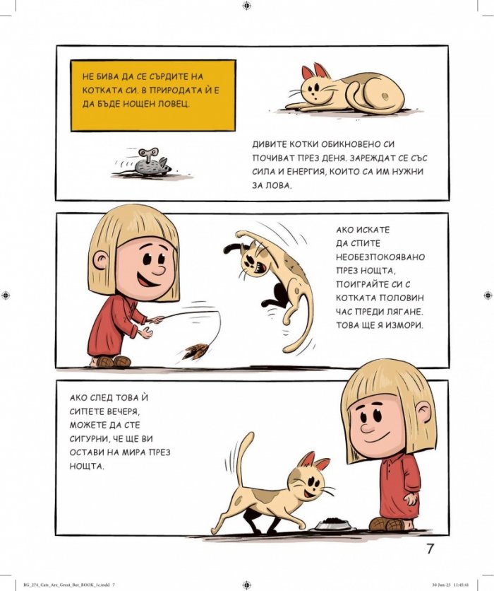 Котките са страхотни, но...