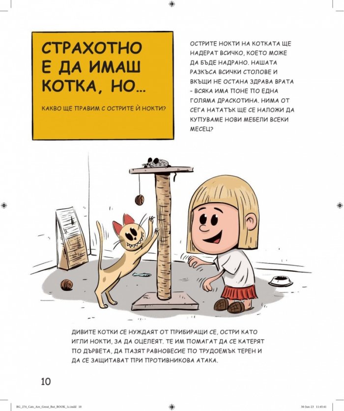Котките са страхотни, но...