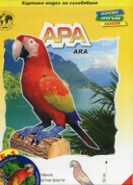 Ара/ Хартиен модел за сглобяване