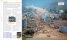 Earth : The Definitive Visual Guide