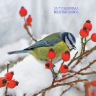 Calendar 2017: British Birds