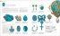Jewel : The Definitive Visual Guide