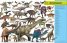 Eyewitness Encyclopedia of Everything: The Ultimate Guide to the World Around You