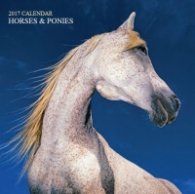 Calendar 2017: Horses & Ponies