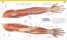 The Complete Human Body