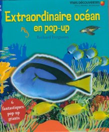Extraordinaire ocean en pop-up