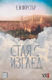 Стая с изглед