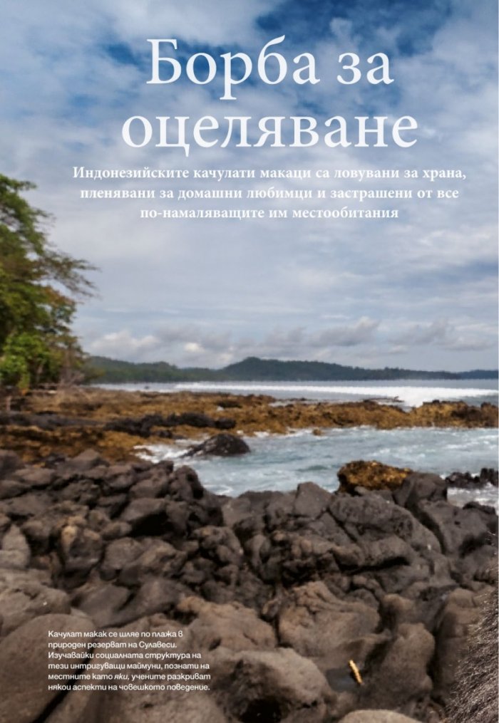 National Geographic България 07/2017