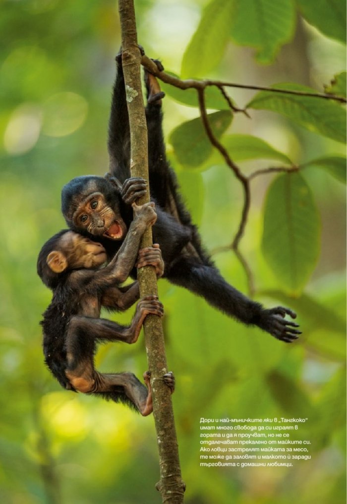 National Geographic България 07/2017