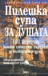 Пилешка супа за душата: 101 истории, които стоплят