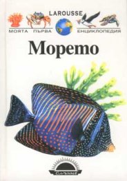 Морето
