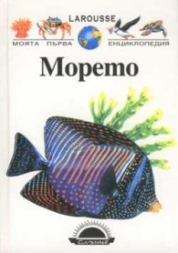 Морето
