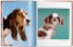Walter Chandoha. Dogs. Photographs 1941–1991
