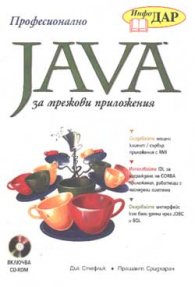 Професионално Java за мрежови приложения