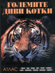 Големите диви котки