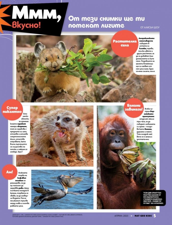 National Geographic KIDS България Април/2023