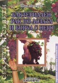 Бактериален рак по лозата и борба с него