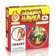 Забавна наука: Скелет NOR0638