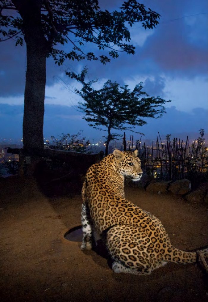 National Geographic България 03/2016