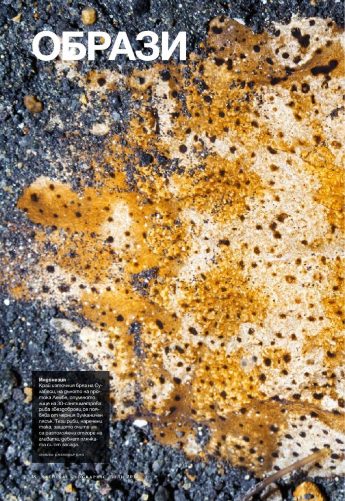National Geographic България 7/2015