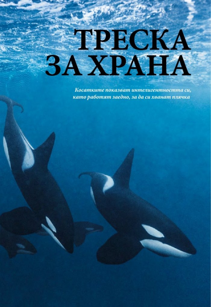 National Geographic България 7/2015