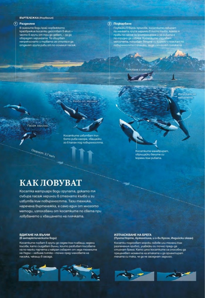 National Geographic България 7/2015
