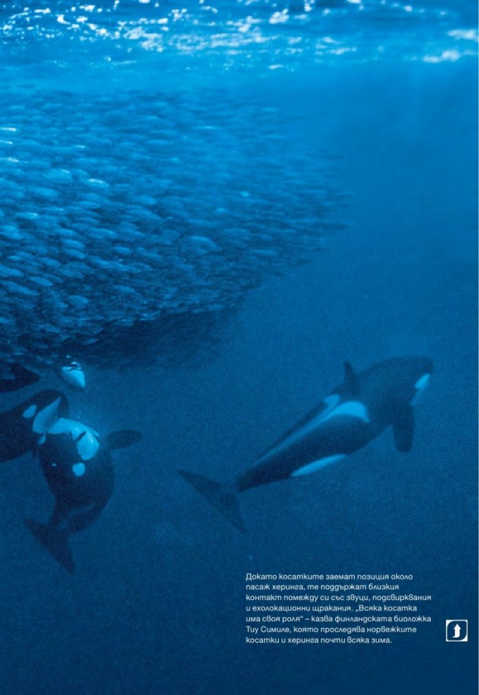 National Geographic България 7/2015