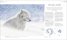 Habitats : Discover Earth's Precious Wild Places