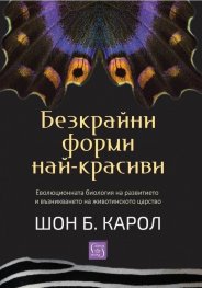 Безкрайни форми най-красиви