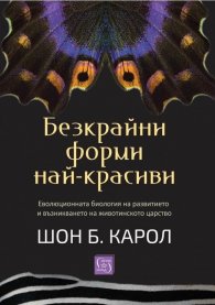 Безкрайни форми най-красиви