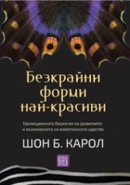 Безкрайни форми най-красиви