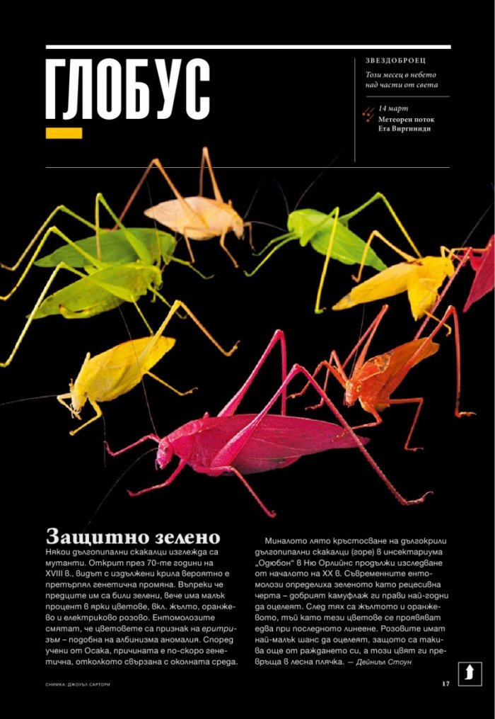 National Geographic 3/2013