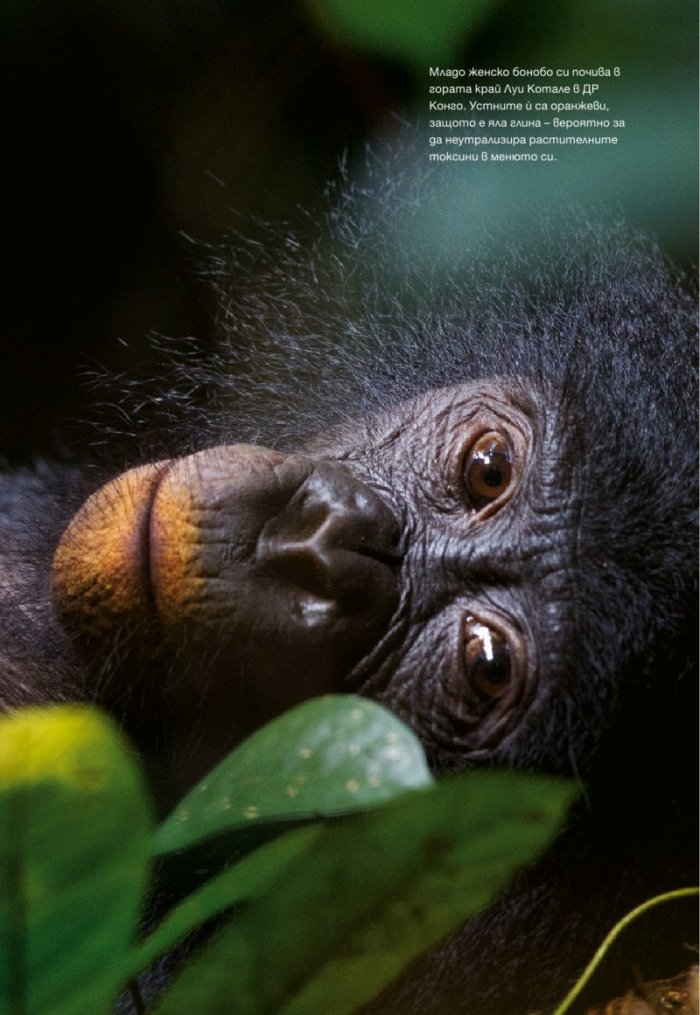 National Geographic 3/2013
