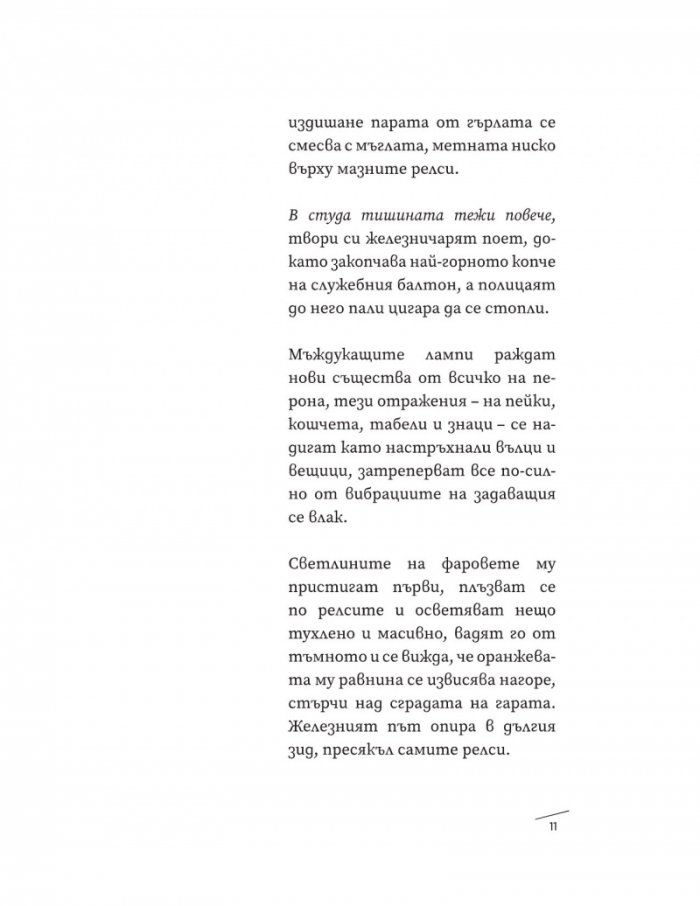 Зид (твърда корица)