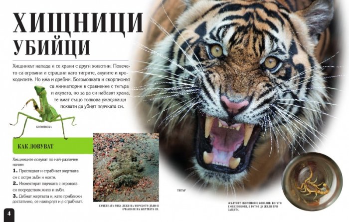 Сканорама: Опасните хищници (Плъзни... Сканирай... Разкрий...)