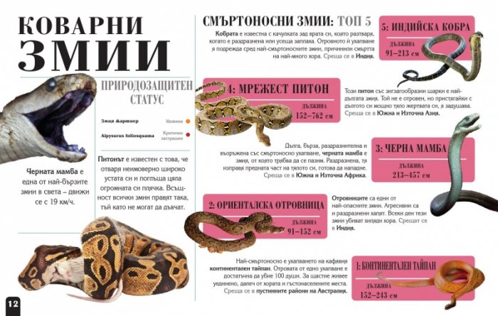 Сканорама: Опасните хищници (Плъзни... Сканирай... Разкрий...)