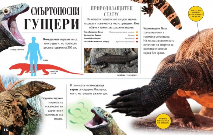 Сканорама: Опасните хищници (Плъзни... Сканирай... Разкрий...)
