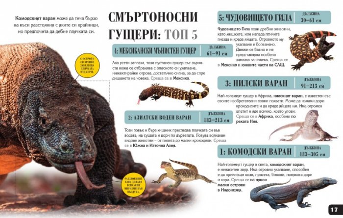 Сканорама: Опасните хищници (Плъзни... Сканирай... Разкрий...)