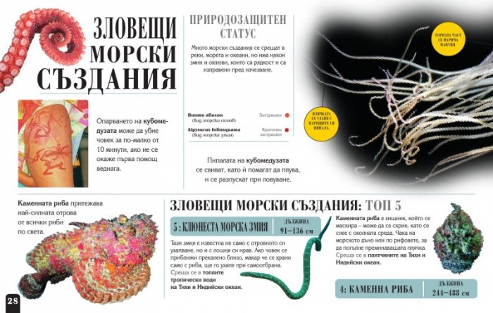 Сканорама: Опасните хищници (Плъзни... Сканирай... Разкрий...)