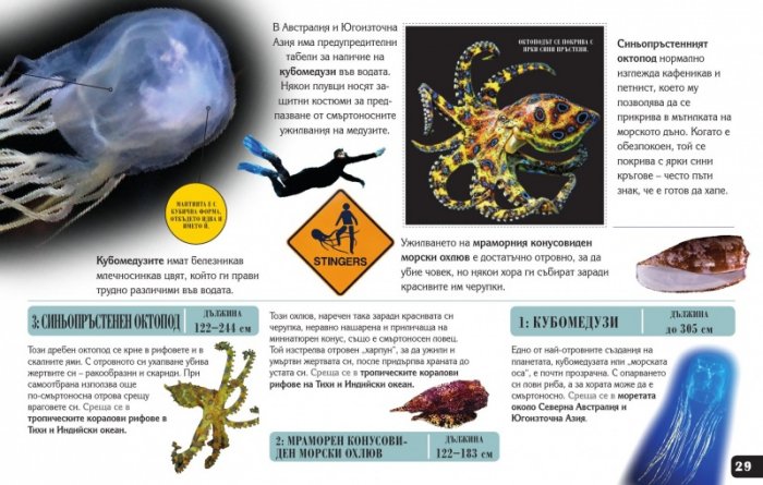 Сканорама: Опасните хищници (Плъзни... Сканирай... Разкрий...)