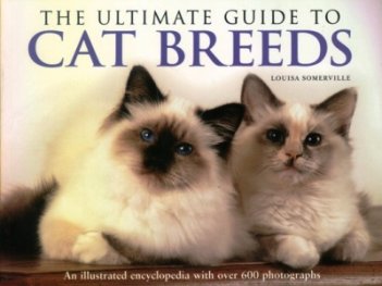 The Ultimate Guide To Cat Breeds