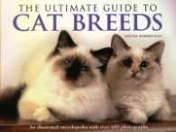 The Ultimate Guide To Cat Breeds