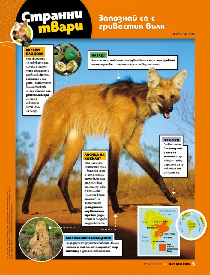 National Geographic KIDS България Август/2023