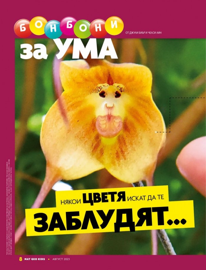 National Geographic KIDS България Август/2023